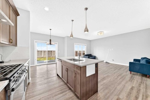 176 Savanna Lane Ne, Calgary, AB - Indoor Photo Showing Kitchen With Double Sink With Upgraded Kitchen