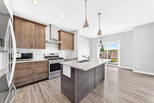 176 Savanna Lane Ne, Calgary, AB - Indoor Photo Showing Kitchen With Double Sink
