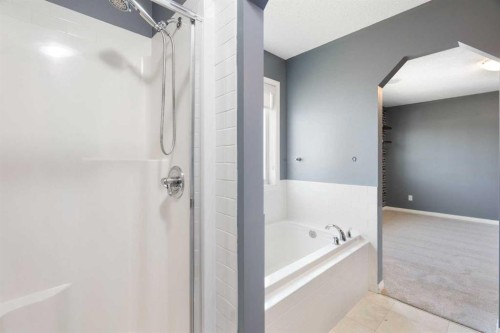 128 Silverado Way Sw, Calgary, AB - Indoor Photo Showing Bathroom