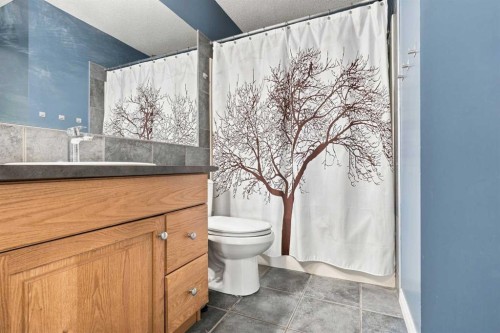 208-25 Prestwick Drive Se, Calgary, AB - Indoor Photo Showing Bathroom