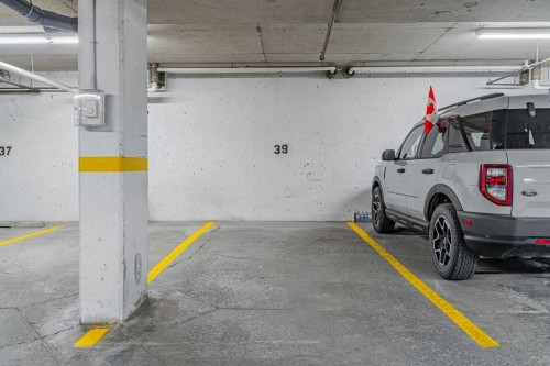 208-25 Prestwick Drive Se, Calgary, AB - Indoor Photo Showing Garage
