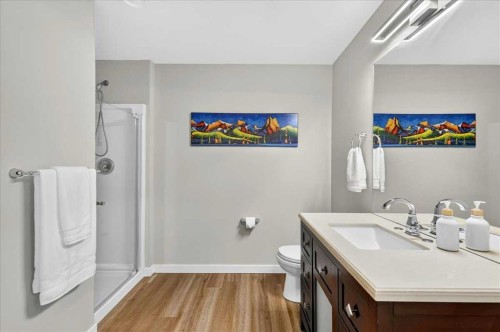 195 Mahogany Passage Se, Calgary, AB - Indoor Photo Showing Bathroom