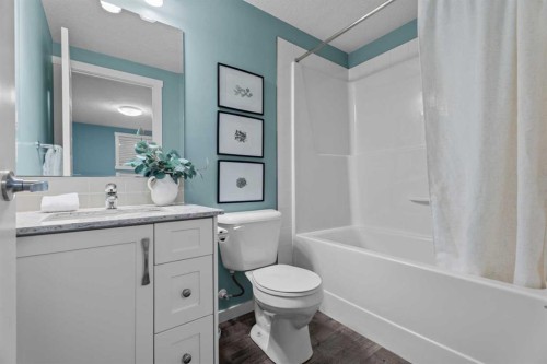516 Auburn Bay Circle Se, Calgary, AB - Indoor Photo Showing Bathroom