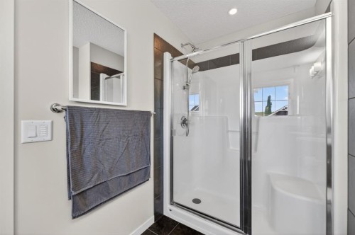 218 River Heights Green, Cochrane, AB - Indoor Photo Showing Bathroom