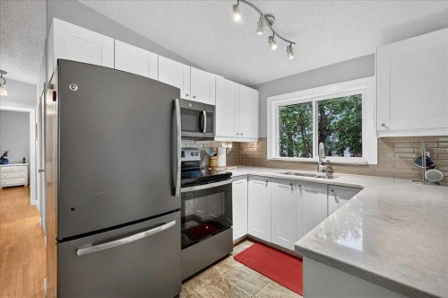 1123 48 Avenue Nw, Calgary, AB - Indoor Photo Showing Kitchen With Double Sink
