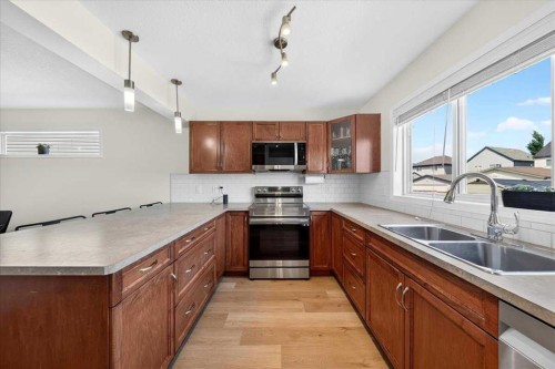 138 Copperpond Heights Se, Calgary, AB - Indoor Photo Showing Kitchen With Double Sink