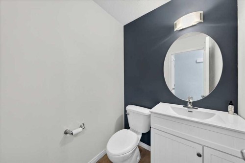 138 Copperpond Heights Se, Calgary, AB - Indoor Photo Showing Bathroom