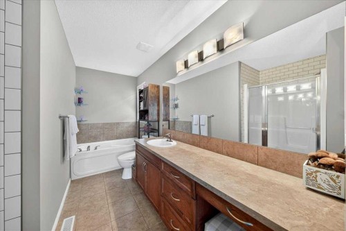 138 Copperpond Heights Se, Calgary, AB - Indoor Photo Showing Bathroom
