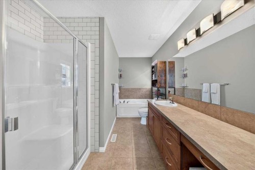 138 Copperpond Heights Se, Calgary, AB - Indoor Photo Showing Bathroom