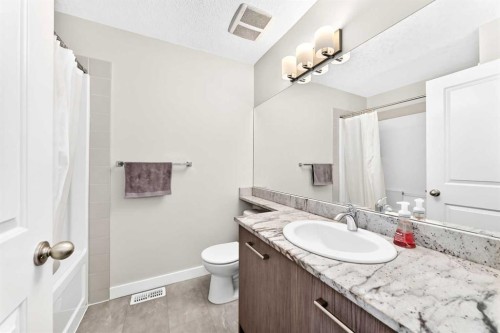 7 Stonehouse Crescent Nw, High River, AB - Indoor Photo Showing Bathroom