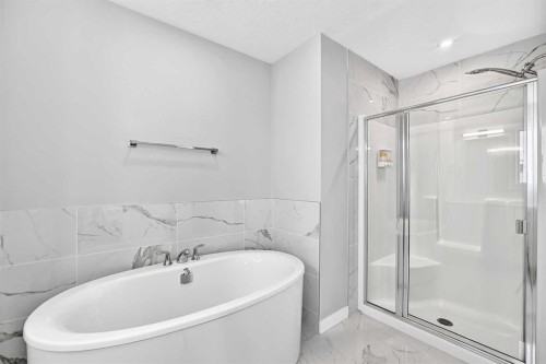 197 Chelsea Drive, Chestermere, AB - Indoor Photo Showing Bathroom