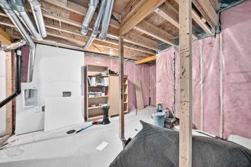 293 Red Sky Way Ne, Calgary, AB - Indoor Photo Showing Basement