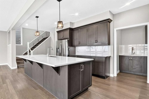 293 Red Sky Way Ne, Calgary, AB - Indoor Photo Showing Kitchen With Upgraded Kitchen