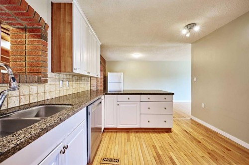 4820 49 Avenue Nw, Calgary, AB - Indoor Photo Showing Kitchen With Double Sink