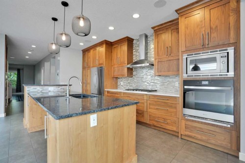 145 Marquis Common Se, Calgary, AB - Indoor Photo Showing Kitchen With Stainless Steel Kitchen With Upgraded Kitchen