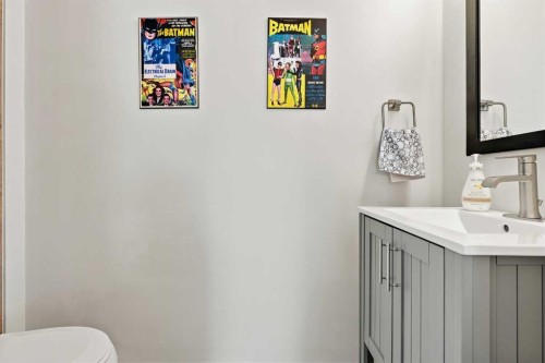 61 Mt Aberdeen Circle Se, Calgary, AB - Indoor Photo Showing Bathroom