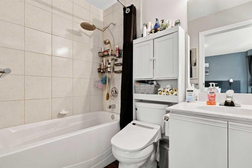 61 Mt Aberdeen Circle Se, Calgary, AB - Indoor Photo Showing Bathroom