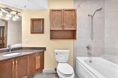 2509 Douglas Woods Link Se, Calgary, AB - Indoor Photo Showing Bathroom