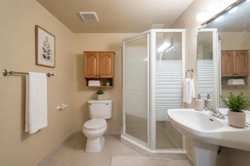 136 Harvest Hills Drive Ne, Calgary, AB - Indoor Photo Showing Bathroom