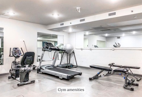 209-707 Spring Creek Drive, Canmore, AB - Indoor Photo Showing Gym Room