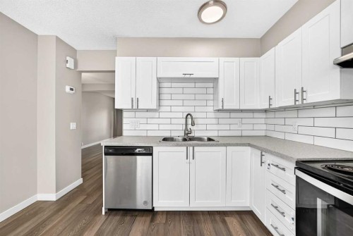 96 Erin Woods Boulevard Se, Calgary, AB - Indoor Photo Showing Kitchen With Double Sink