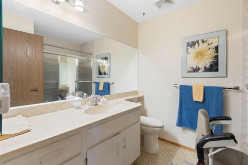 243 Radcliffe Place Se, Calgary, AB - Indoor Photo Showing Bathroom