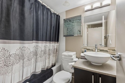 206-505 19 Avenue Sw, Calgary, AB - Indoor Photo Showing Bathroom
