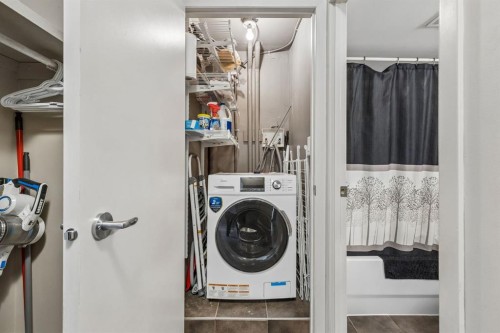 206-505 19 Avenue Sw, Calgary, AB - Indoor Photo Showing Laundry Room