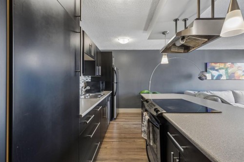 206-505 19 Avenue Sw, Calgary, AB - Indoor Photo Showing Kitchen