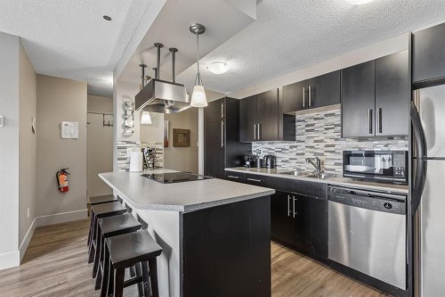 206-505 19 Avenue Sw, Calgary, AB - Indoor Photo Showing Kitchen With Stainless Steel Kitchen With Double Sink With Upgraded Kitchen