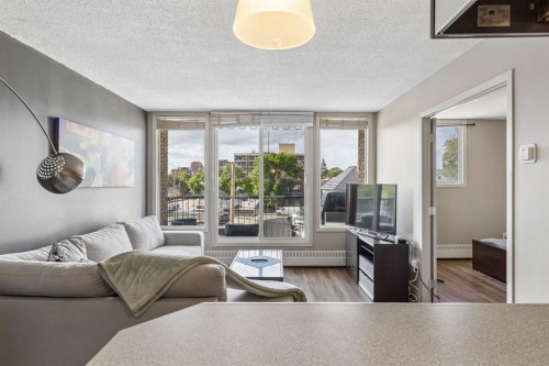 206-505 19 Avenue Sw, Calgary, AB - Indoor Photo Showing Living Room