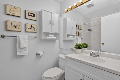179 Pinecliff Close Ne, Calgary, AB - Indoor Photo Showing Bathroom