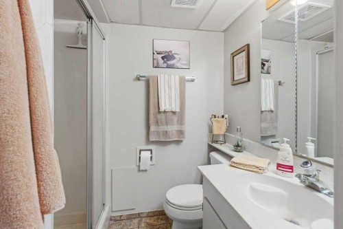 9511 Academy Drive Se, Calgary, AB - Indoor Photo Showing Bathroom