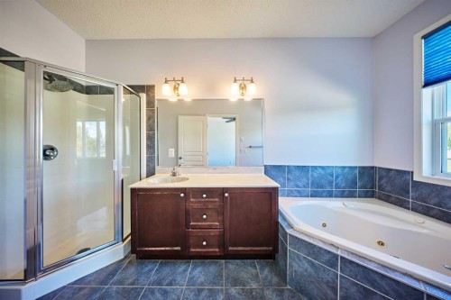 153 Royal Birch Bay Nw, Calgary, AB - Indoor Photo Showing Bathroom