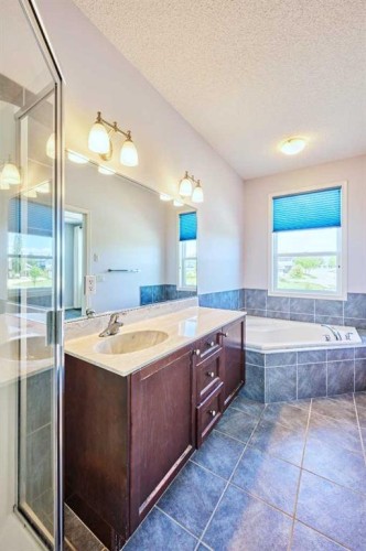 153 Royal Birch Bay Nw, Calgary, AB - Indoor Photo Showing Bathroom