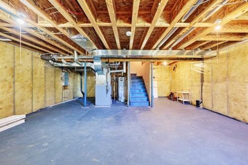 153 Royal Birch Bay Nw, Calgary, AB - Indoor Photo Showing Basement