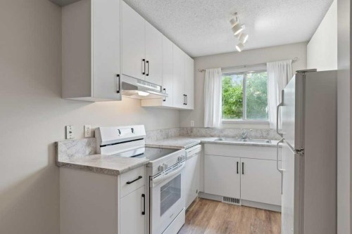 141-7172 Coach Hill Road Sw, Calgary, AB - Indoor Photo Showing Kitchen With Double Sink