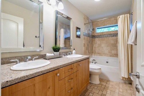 10819 Willowfern Drive Se, Calgary, AB - Indoor Photo Showing Bathroom