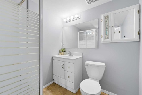 96 Rivercrest Crescent Se, Calgary, AB - Indoor Photo Showing Bathroom