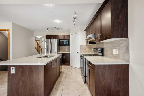 115 Macewan Park Circle, Calgary, AB - Indoor Photo Showing Kitchen With Double Sink With Upgraded Kitchen