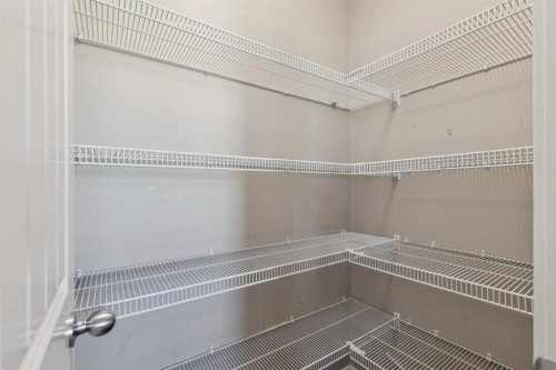 409 Copperpond Landing Se, Calgary, AB - Indoor With Storage