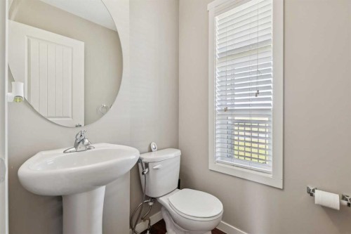 409 Copperpond Landing Se, Calgary, AB - Indoor Photo Showing Bathroom