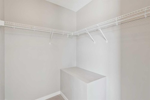 409 Copperpond Landing Se, Calgary, AB - Indoor With Storage