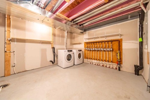 941 Mckenzie Towne Manor Se, Calgary, AB - Indoor Photo Showing Laundry Room