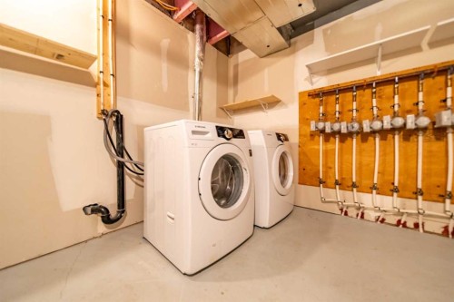 941 Mckenzie Towne Manor Se, Calgary, AB - Indoor Photo Showing Laundry Room