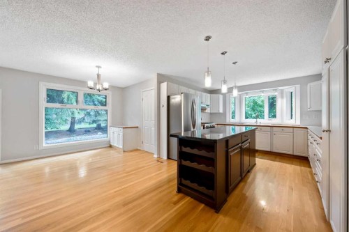 224 Varsity Crescent Nw, Calgary, AB - Indoor Photo Showing Kitchen With Stainless Steel Kitchen With Upgraded Kitchen