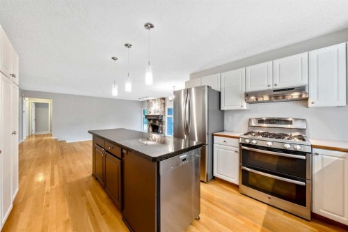 224 Varsity Crescent Nw, Calgary, AB - Indoor Photo Showing Kitchen With Stainless Steel Kitchen