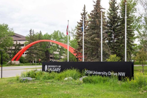 224 Varsity Crescent Nw, Calgary, AB - Outdoor