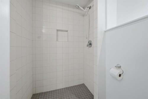 248 Parkland Crescent Se, Calgary, AB - Indoor Photo Showing Bathroom