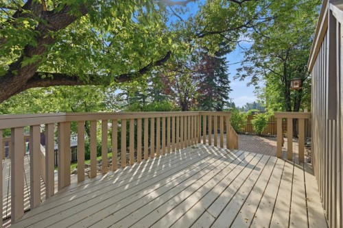 248 Parkland Crescent Se, Calgary, AB - Outdoor With Deck Patio Veranda